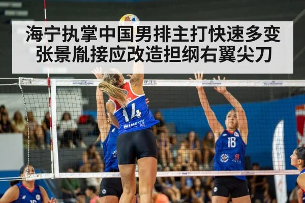 volleyball match action