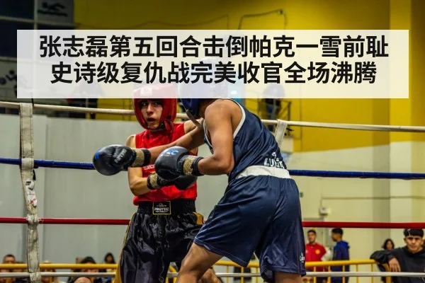 张志磊第五回合击倒帕克一雪前耻史诗级复仇战完美收官全场沸腾